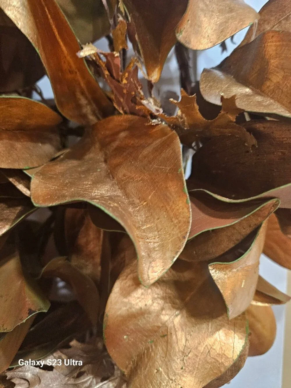 Christmas Teardrop Gold Leaves Swag by Neiman Marcus